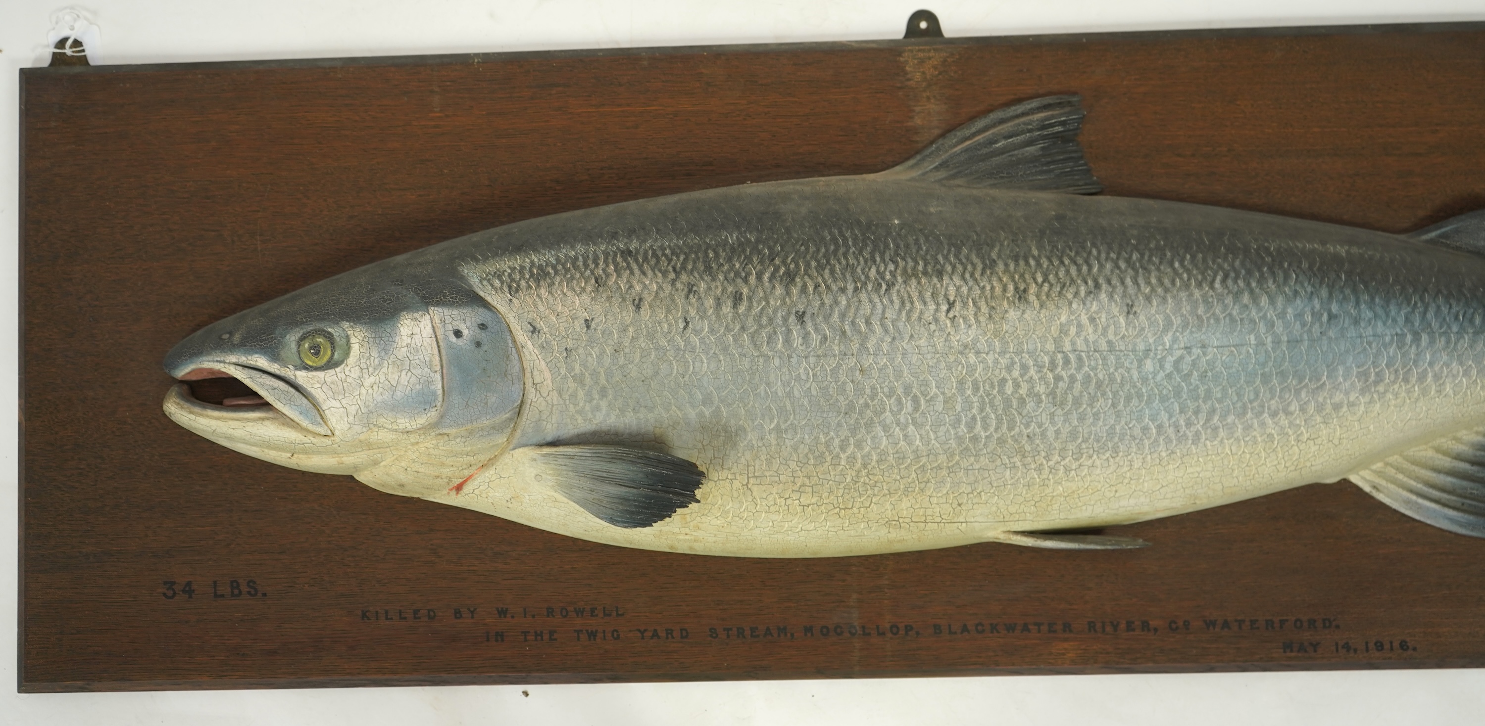 Attributed to John and Dhuie Tully of Fochabers: A painted half block model of an Atlantic Salmon, dated 1916